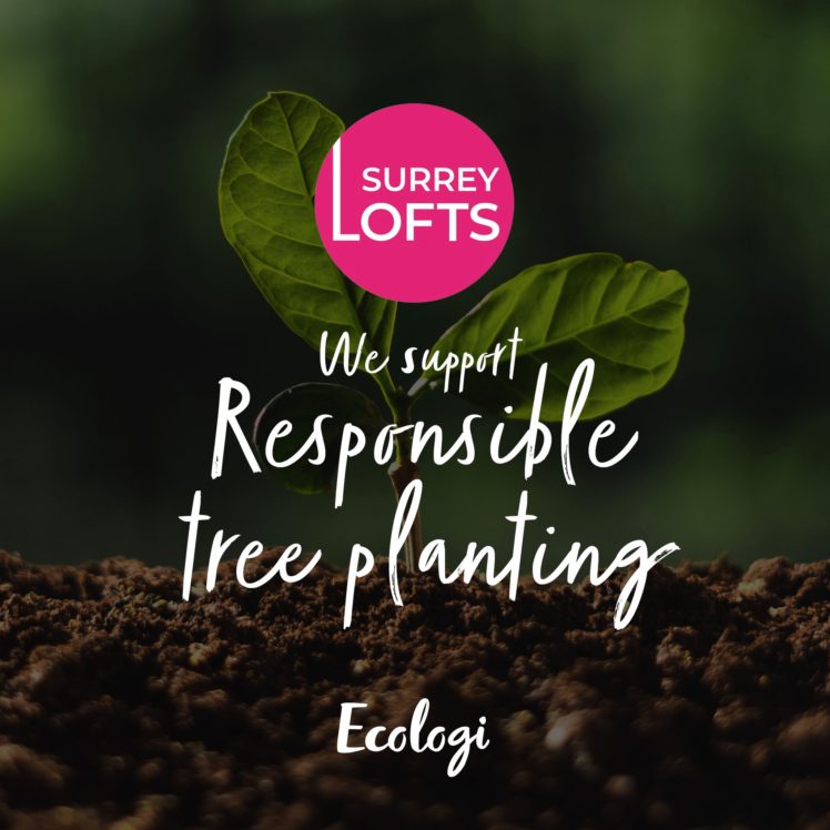 We support responsible tree planting